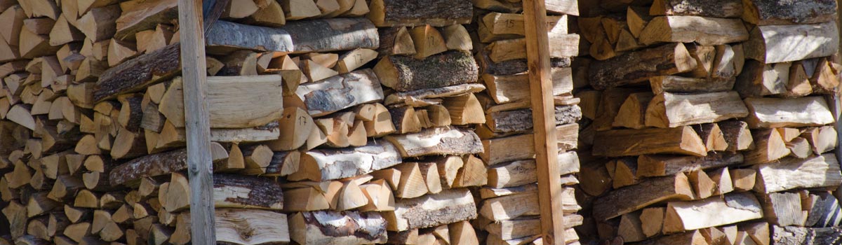 Trees - for Firewood