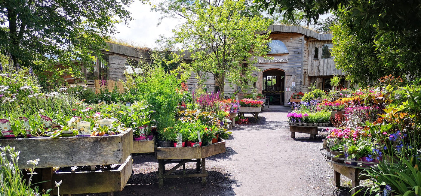 Visit us from Wednesday to Sunday