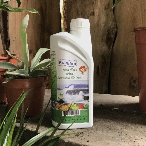 Brandon Iron Feed with Irish Seaweed Extract