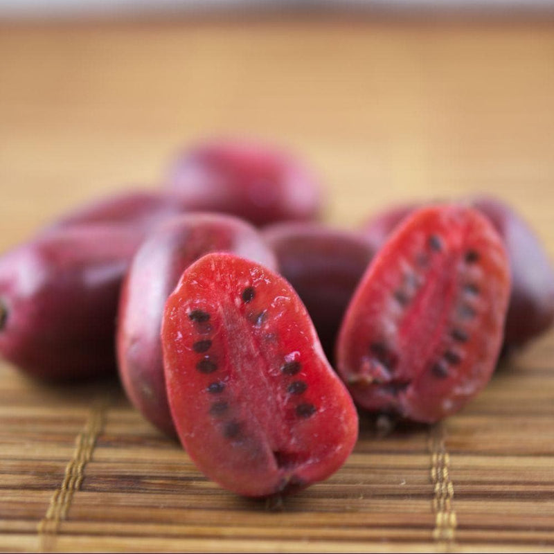 Kiwi - Actinidia arguta Ken's Red - Future Forests