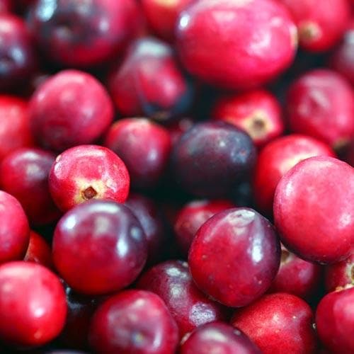 Cranberry Early Black - Future Forests