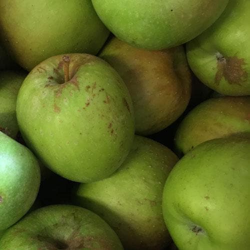 Apple Sweet Pethyre - Future Forests