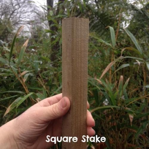 Tree Stake Square / 1.5m / Not provided