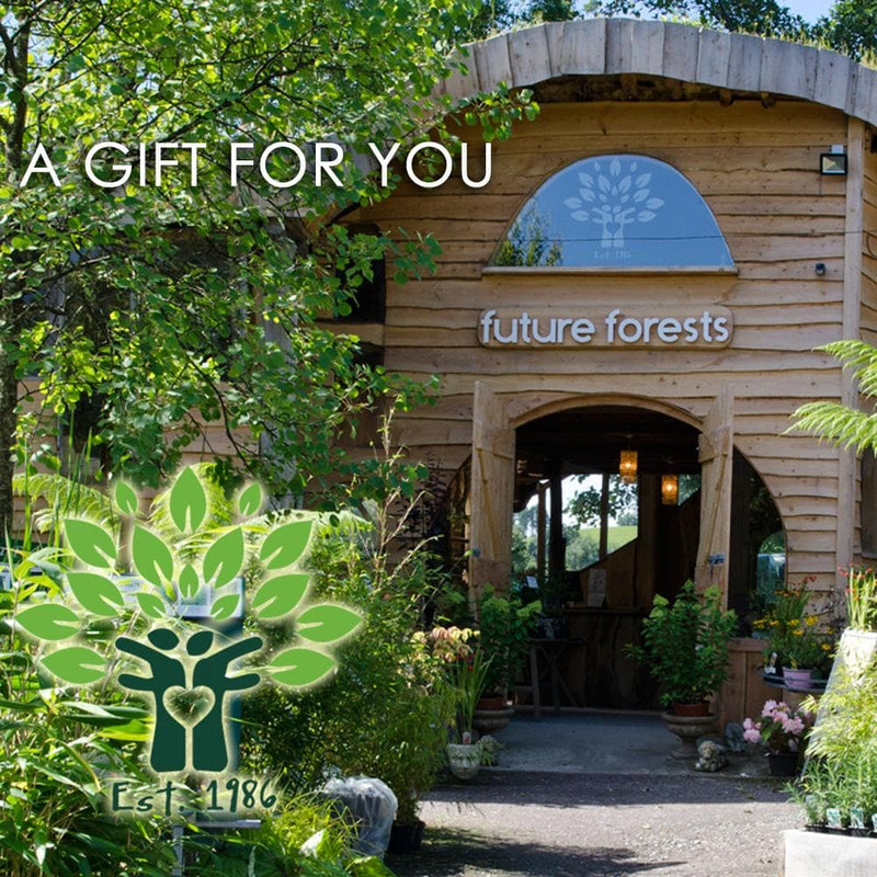 GIFT VOUCHER for our WEBSITE - Future Forests
